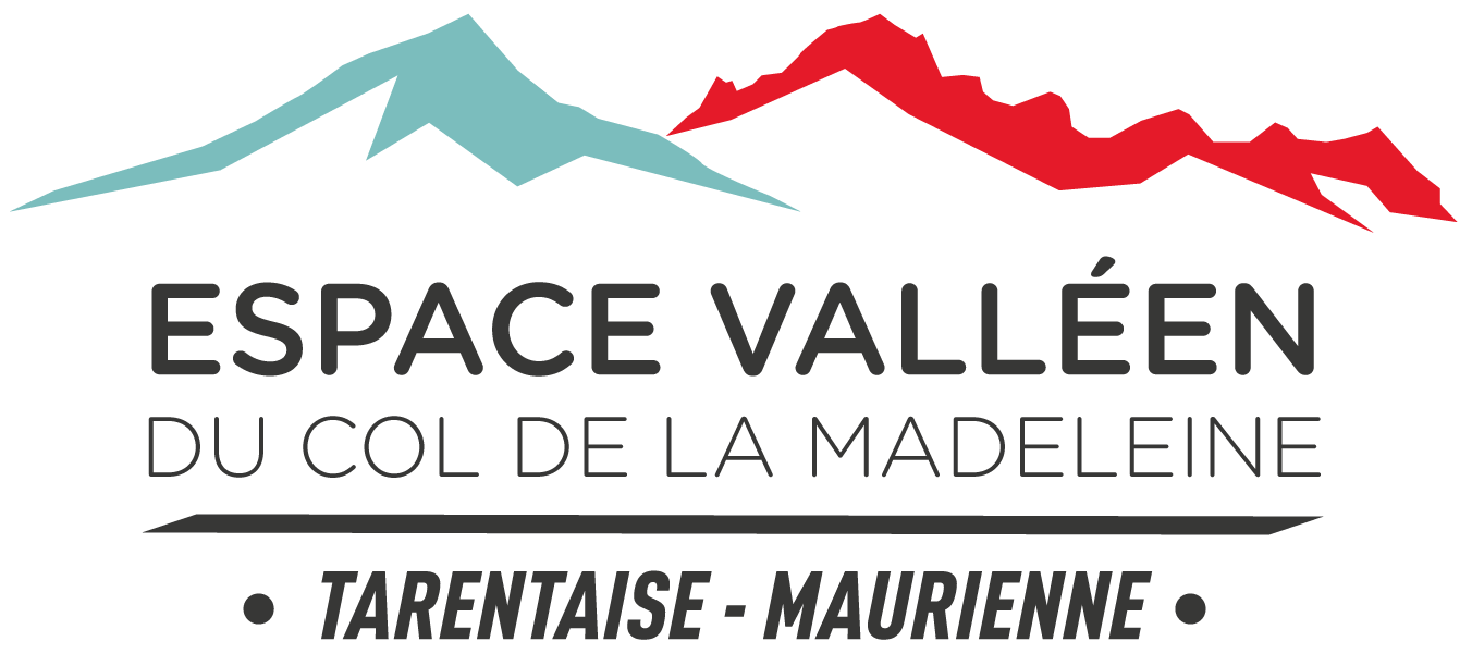 Logo Espace Valléen PNG
