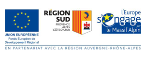 logo feder mla3